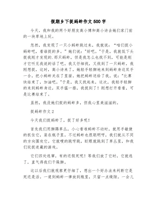 假期乡下捉蚂蚱作文500字