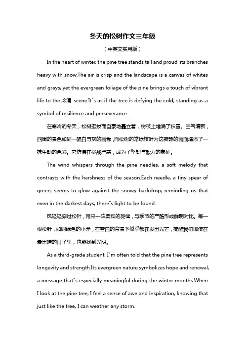 冬天的松树作文三年级
