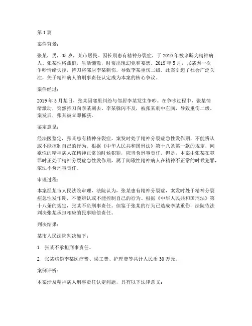 精神病人典型法律案例(3篇)