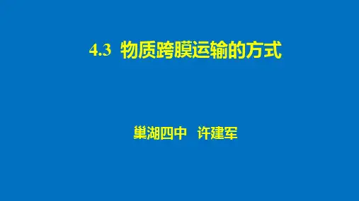 4.3  物质跨膜运输的方式高考一轮