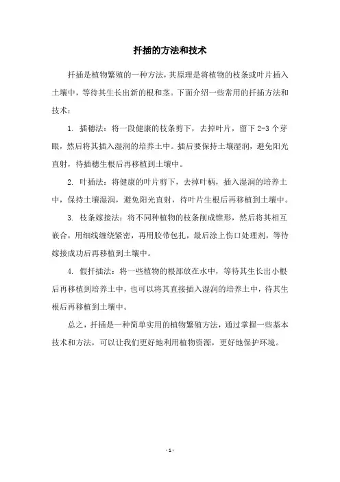 扦插的方法和技术