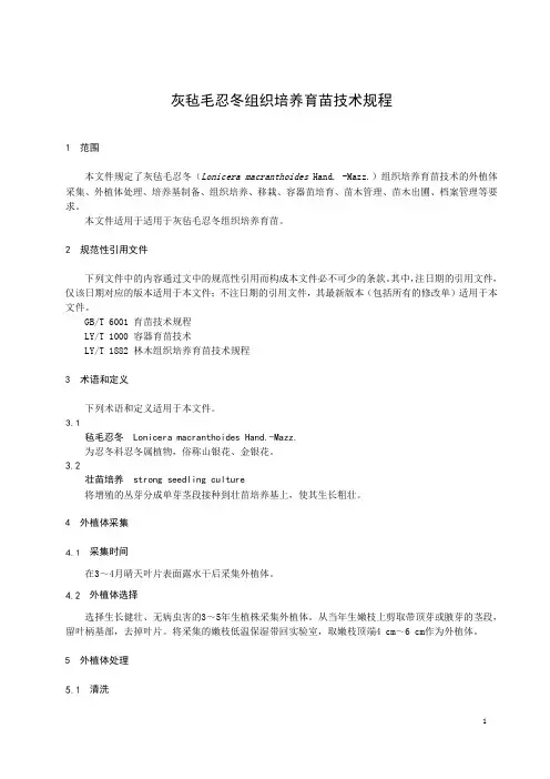 灰毡毛忍冬组织培养育苗技术规程