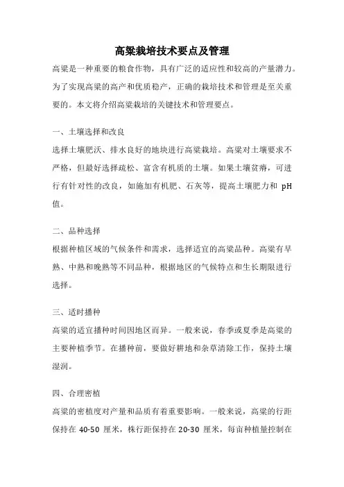 高粱栽培技术要点及管理