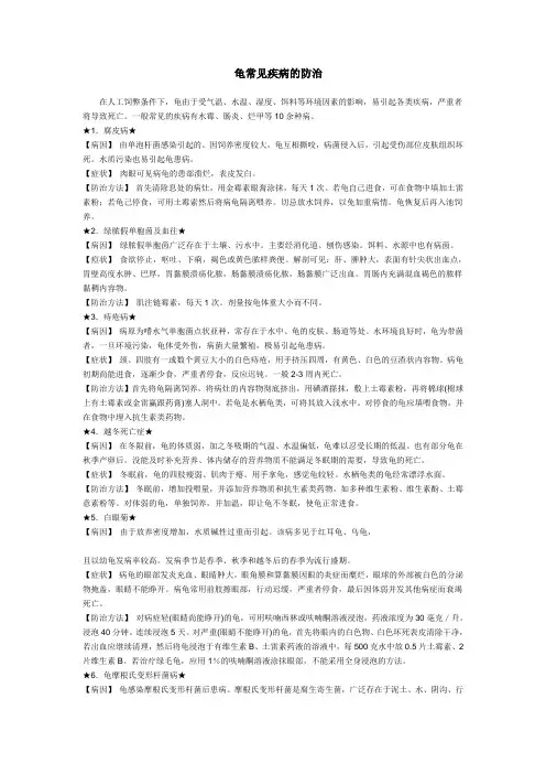 龟常见疾病的防治