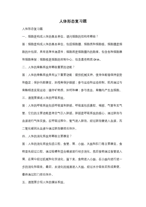 人体形态复习题