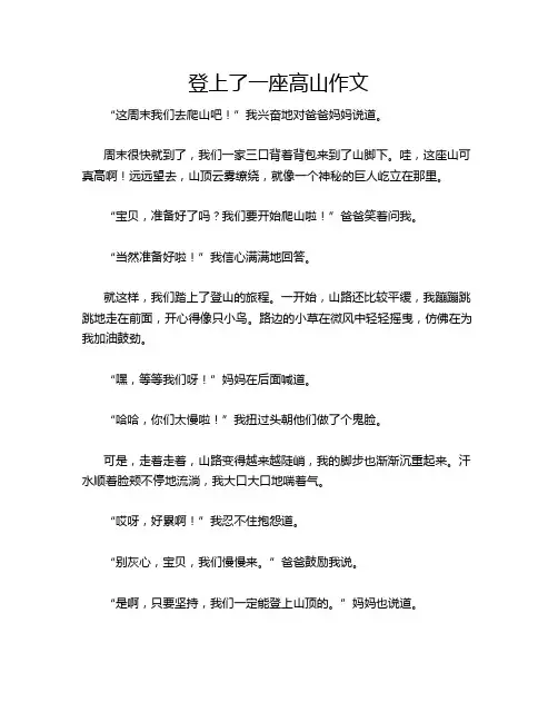 登上了一座高山作文