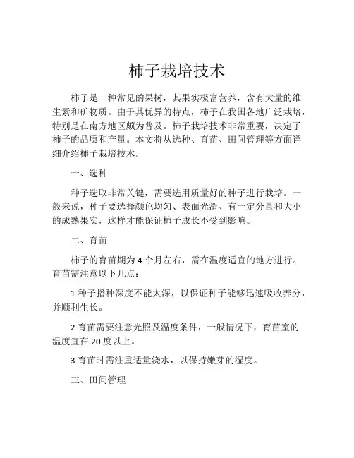 柿子栽培技术