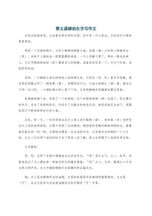第五课琥珀生字写作文