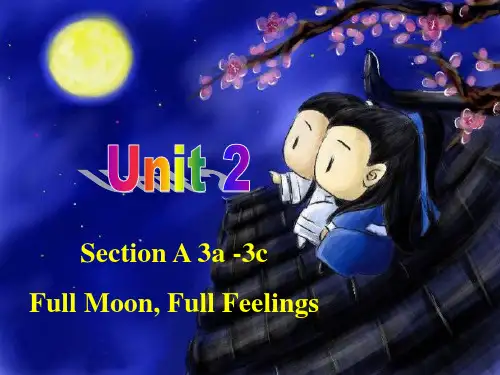 人教九年级Unit2 Section A 3a—3c(18张PPT)