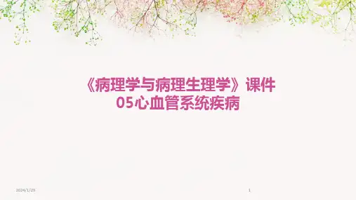《病理学与病理生理学》课件05心血管系统疾病(2024)