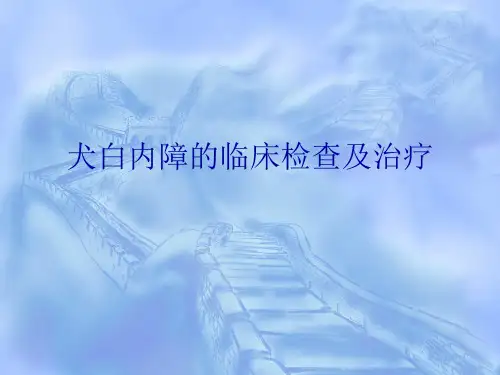 白内障