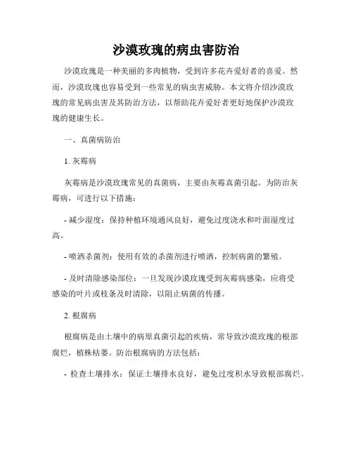 沙漠玫瑰的病虫害防治