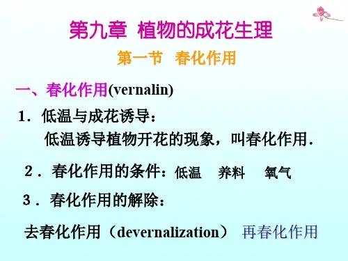 植物的成花生理ppt课件-34页文档资料