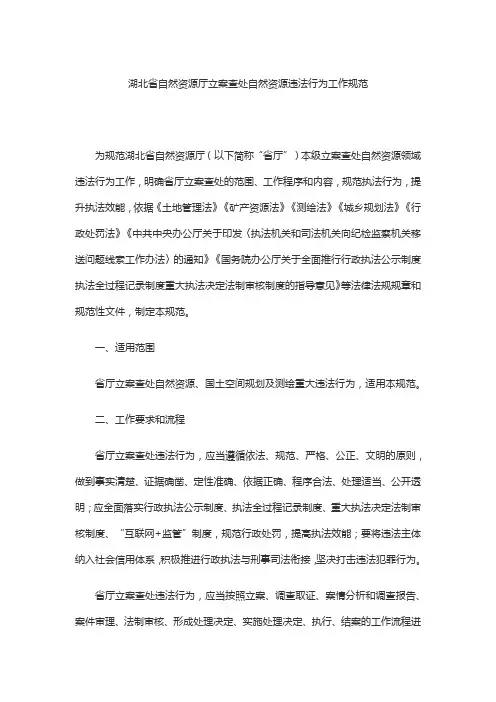 湖北省自然资源厅立案查处自然资源违法行为工作规范