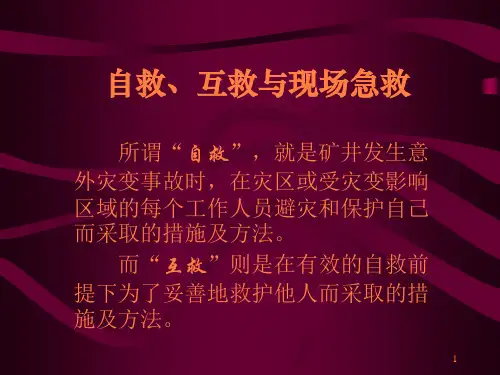自救、互救与现场急救ppt课件