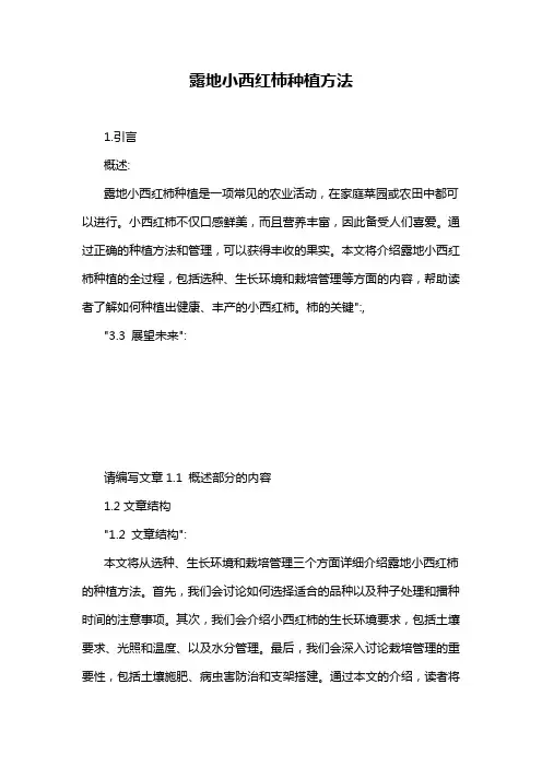 露地小西红柿种植方法