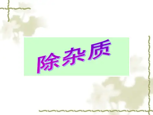中考化学专题复习——物质的除杂(共23张PPT)