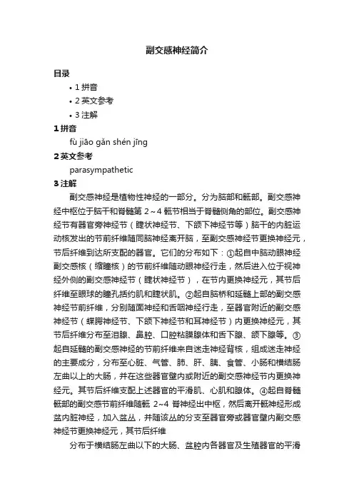 副交感神经简介