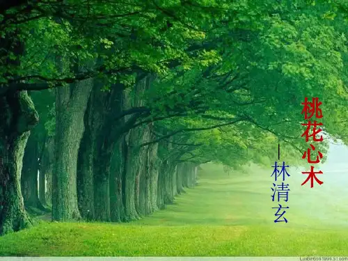 人教版语文六年级下册《桃花心木》课件