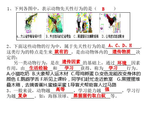 5.社会行为课件(人教版生物)