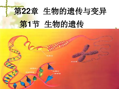 苏科版生物八下7.22.1《生物的遗传》课件(1) (共20张PPT)