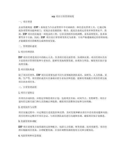 erp项目日常管理制度
