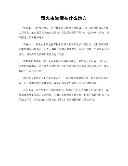 萤火虫生活在什么地方