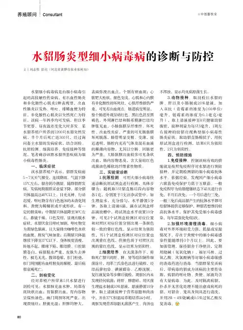 水貂肠炎型细小病毒病的诊断与防控