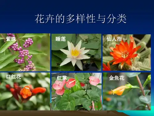 花卉的多样性与分类