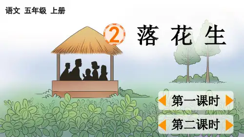 小学语文五年级上册教学课件-落花生【优质版】