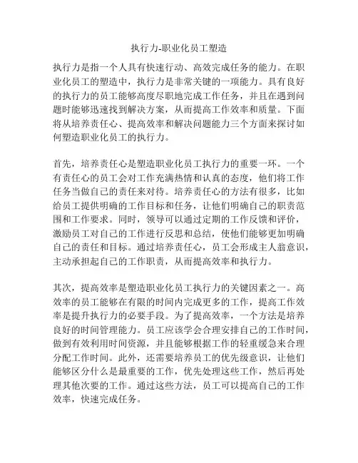 执行力-职业化员工塑造