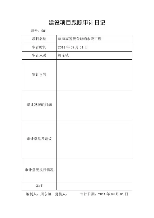 跟踪审计日记