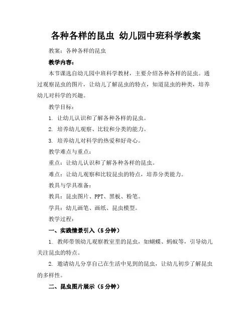 各种各样的昆虫幼儿园中班科学教案