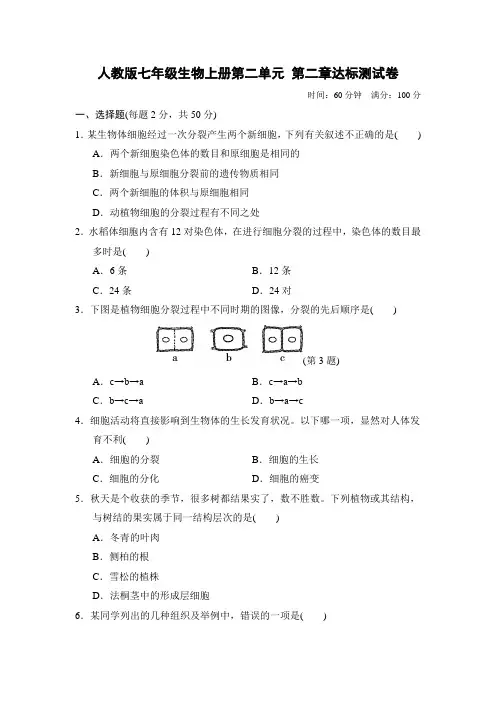 人教版七年级生物上册第二单元 第二章达标测试卷附答案 (2)