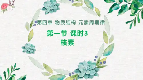 核素-高一化学同步课堂精品课件