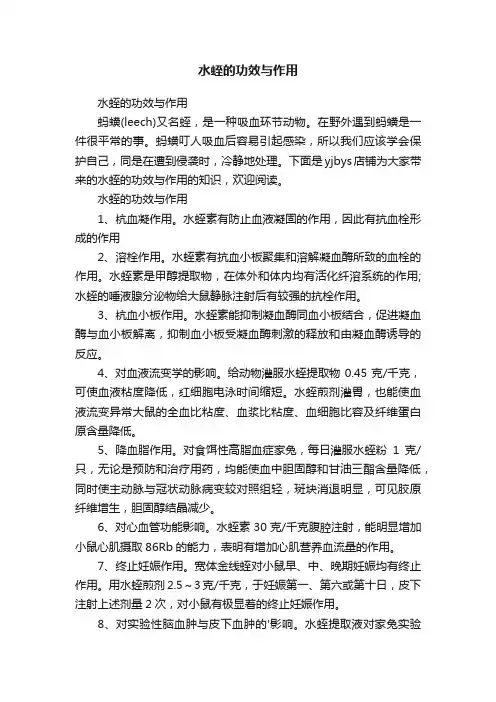 水蛭的功效与作用
