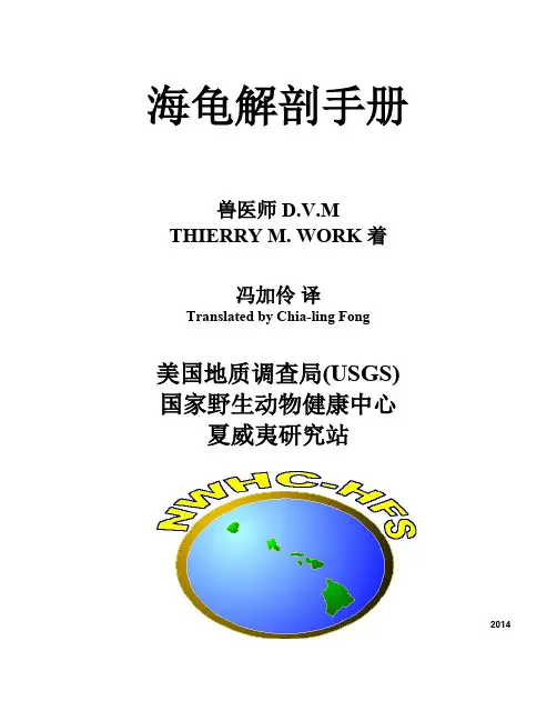 海龟解剖手册说明书
