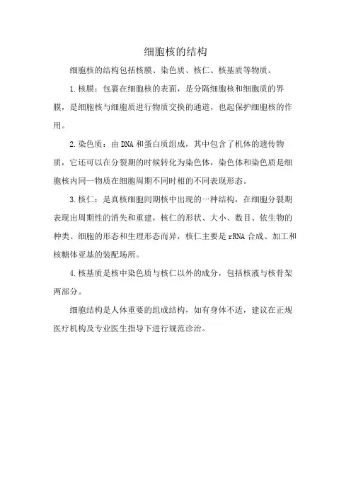 细胞核的结构