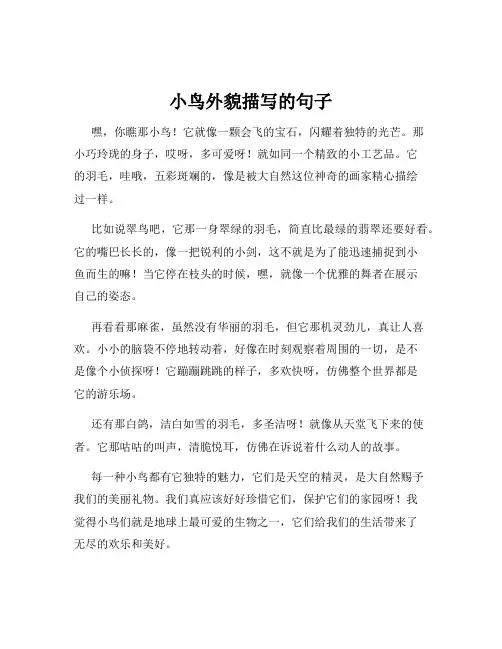 小鸟外貌描写的句子