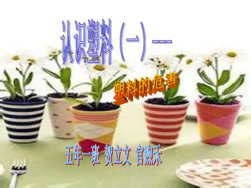 塑料的危害PPT课件