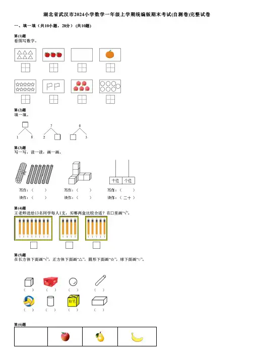 湖北省武汉市2024小学数学一年级上学期统编版期末考试(自测卷)完整试卷