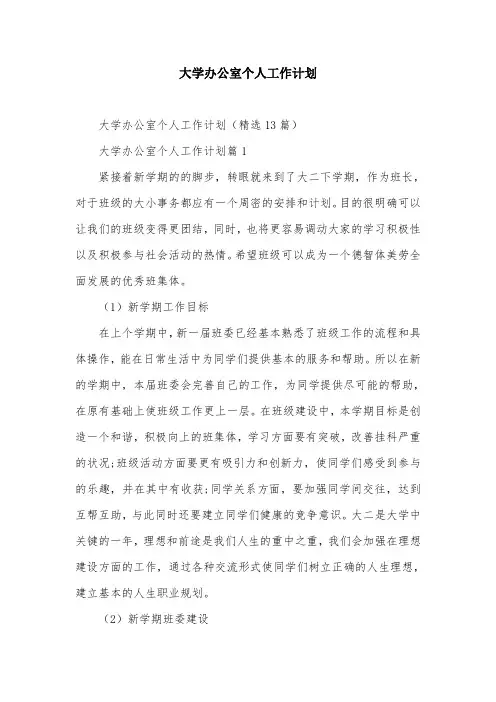 大学办公室个人工作计划