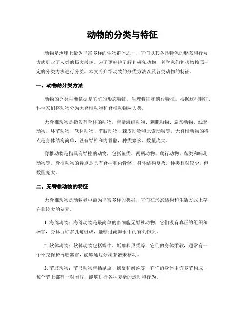 动物的分类与特征