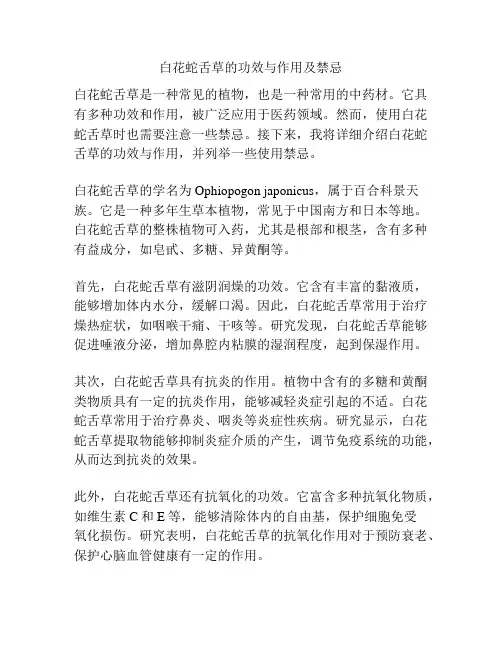白花蛇舌草的功效与作用及禁忌