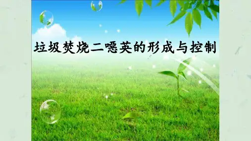 垃圾焚烧二恶英的产生与控制课件