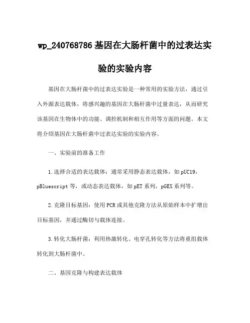 wp_240768786基因在大肠杆菌中的过表达实验的实验内容