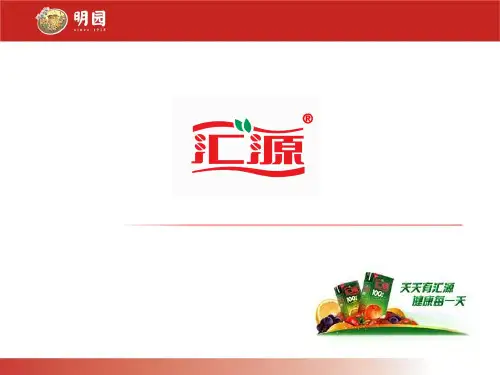汇源果汁报告