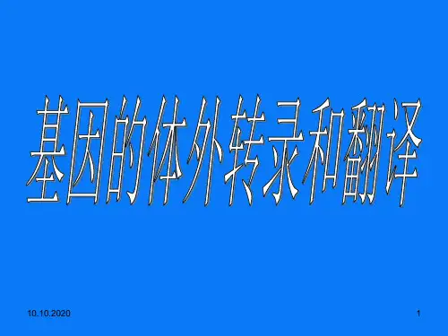 基因的体外转录和翻译PPT演示文稿