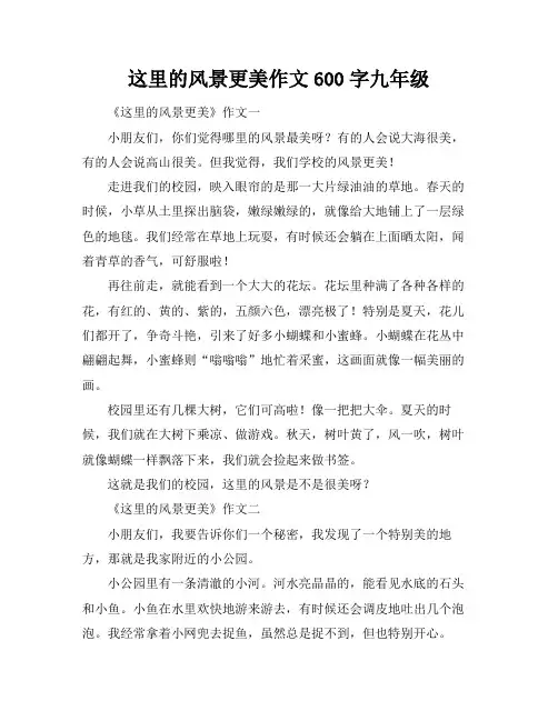 这里的风景更美作文600字九年级