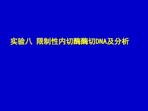 实验八 限制性内切酶酶切DNA及分析